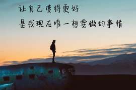 珠海调查案例